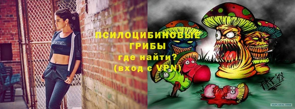 spice Лабытнанги