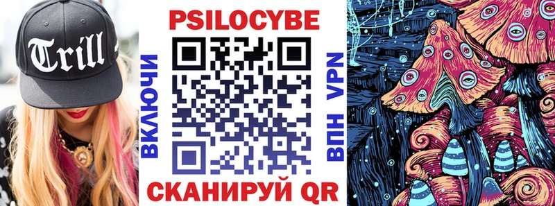 дарк нет наркотические препараты  как найти   Беломорск  Псилоцибиновые грибы Psilocybe 